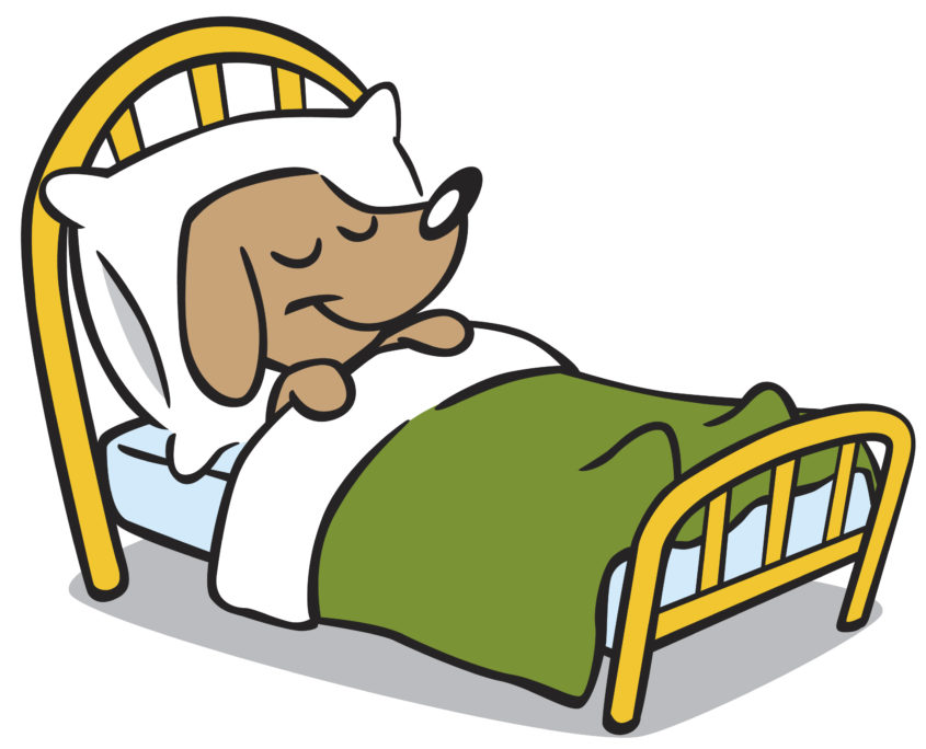 Boarding The Doggy Den